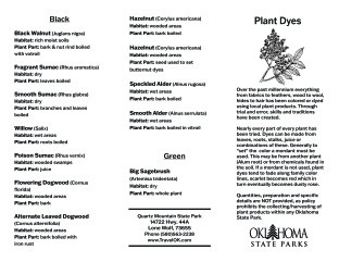 Native Dyes Brochure